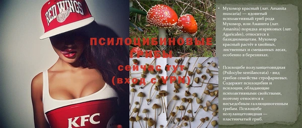 бошки Волоколамск