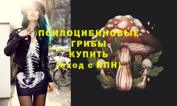 бошки Волоколамск