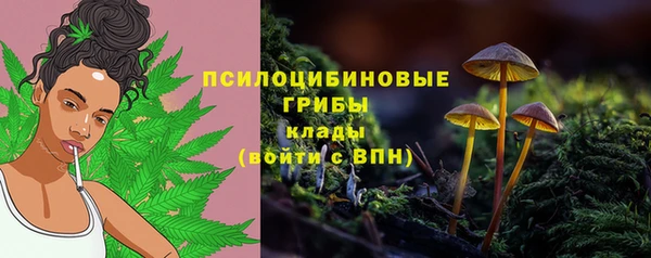 бошки Волоколамск